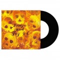 Пластинка Ensign and Fig 4.0 - Split (2003) EP